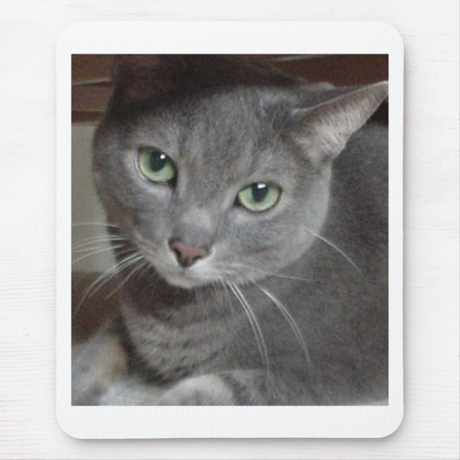 Grey Cat Russian Blue Mouse Mat (Front)