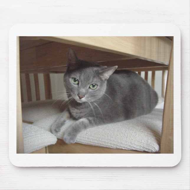 Grey Cat/Russian Blue Mouse Mat (Front)