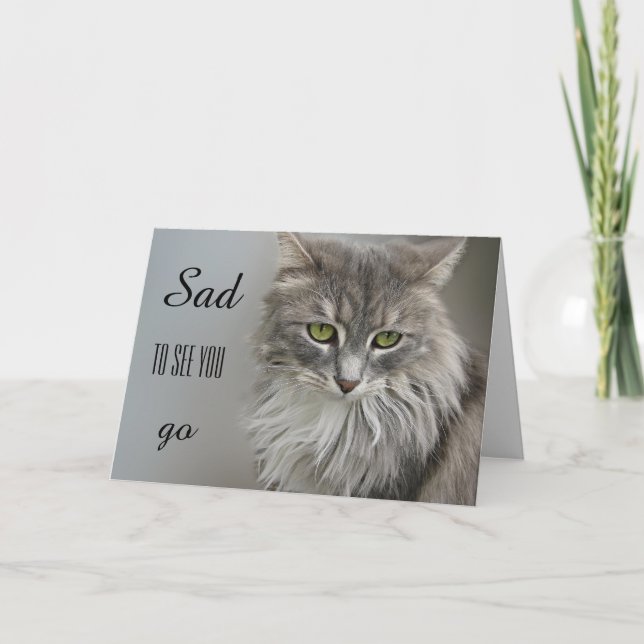 Grey Cat Sympathy Greeting Card (Front)