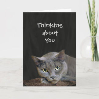 Grey cat thinking about you card