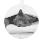 Grey Cat Under White Blanket