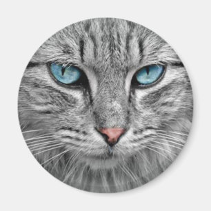 Grey Cat w/Blue Eyes Magnet
