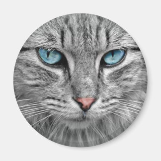 Grey Cat w/Blue Eyes Magnet