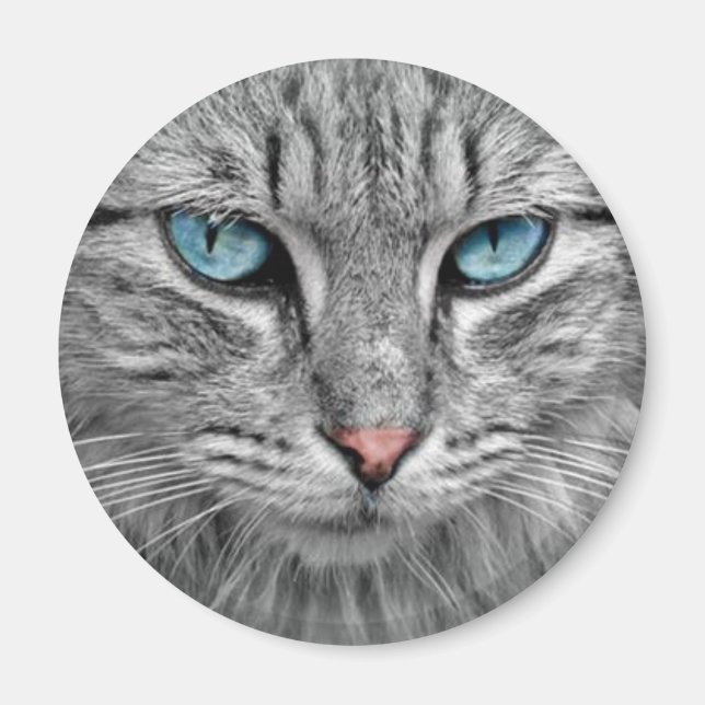 Grey Cat w/Blue Eyes Magnet (Front)