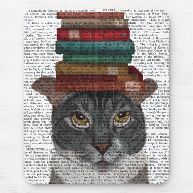 Grey Cat with Books on Head Mouse Mat (Front)
