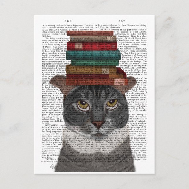 Grey Cat with Books on Head Postcard (Front)