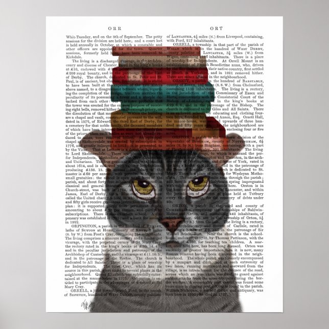 Grey Cat with Books on Head Poster (Front)