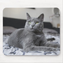 Grey Cat with Green Eyes Mouse Mat
