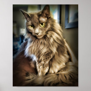 Grey Cat with Green Eyes Poster