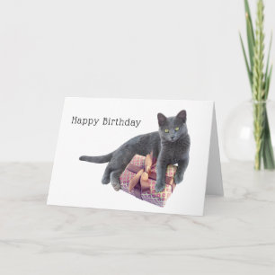 Grey Cat with Present Birthday Card