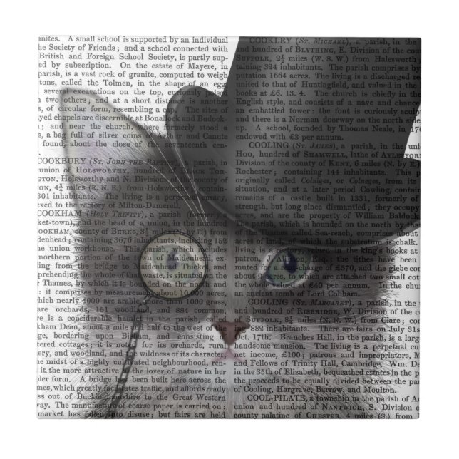 Grey Cat with Top Hat Tile (Front)