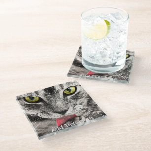 Grey Cat with Yellow Eyes Licking Paw Glass Coaster