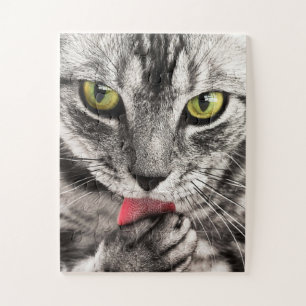 Grey Cat with Yellow Eyes Licking Paw Jigsaw Puzzle