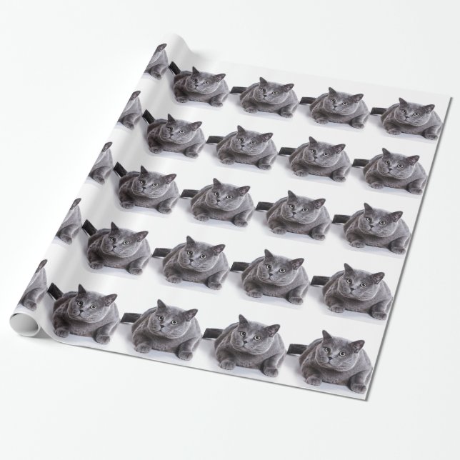 Grey Cat Wrapping Paper (Unrolled)