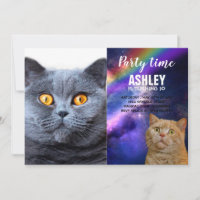 Grey cat yellow eyes