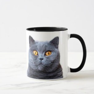 Grey cat yellow eyes mug