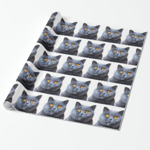Grey cat yellow eyes wrapping paper