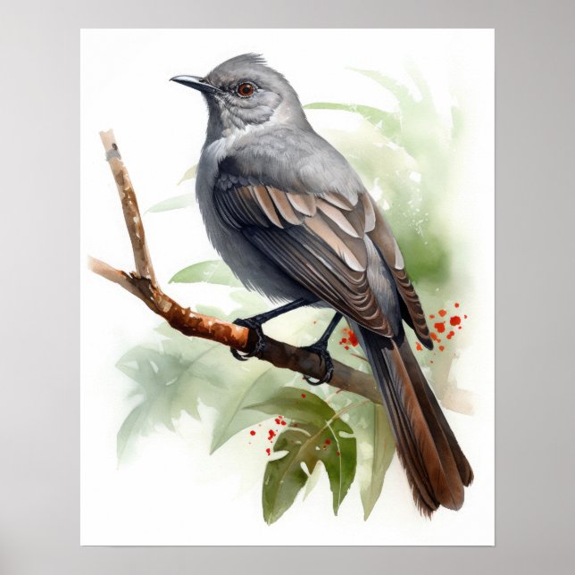 Grey Catbird Bird Art Print Poster (Front)