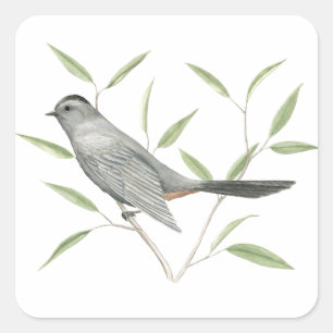 Grey Catbird Bird Art Sticker