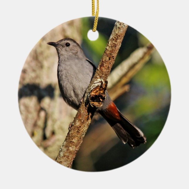 Grey Catbird Ornament (Front)