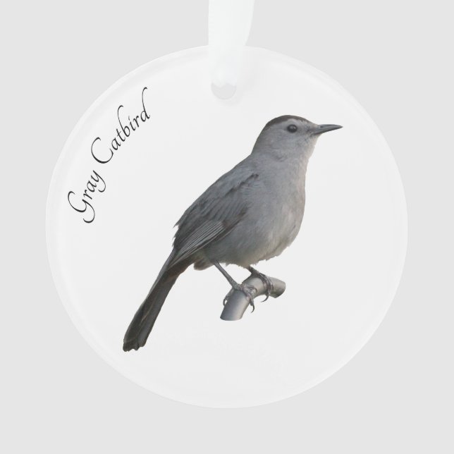 Grey Catbird Ornament (Front)