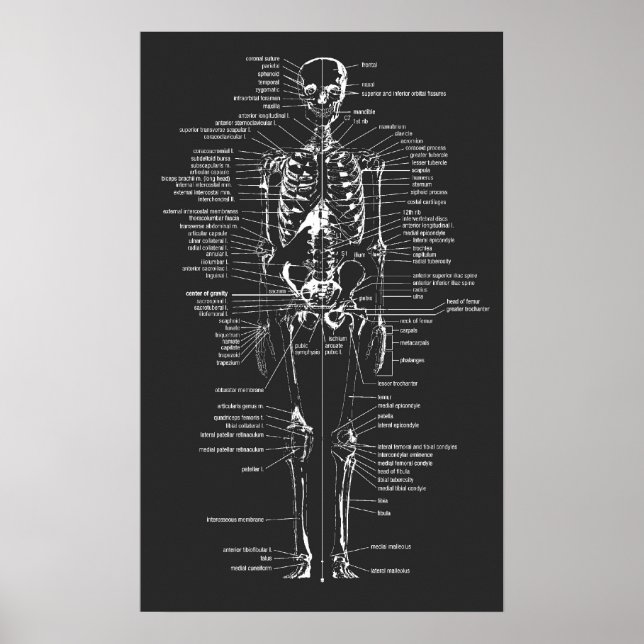 grey chalkboard style skeleton poster (Front)