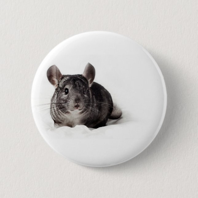Grey Chinchilla Cute in Blanket 6 Cm Round Badge (Front)