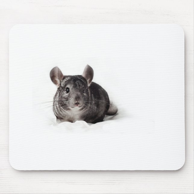 Grey Chinchilla Cute in Blanket Mouse Mat (Front)