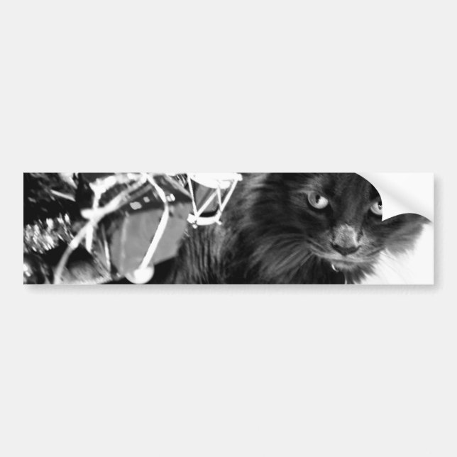 Grey Christmas Kitty I Bumper Sticker (Front)