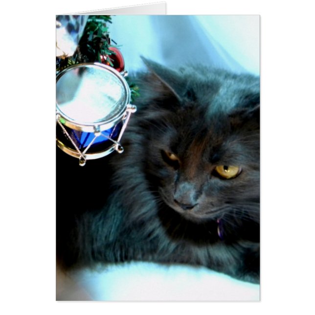 Grey Christmas Kitty II (Front)