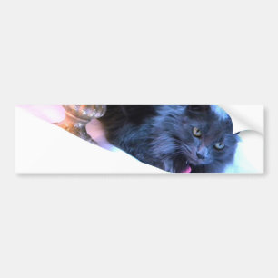 Grey Christmas Kitty III Bumper Sticker