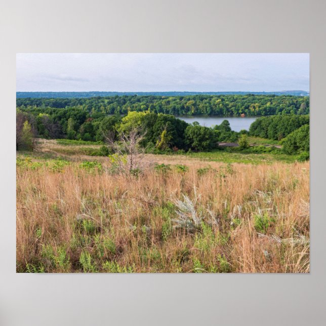 grey cloud dunes and mooers lake scenery poster (Front)