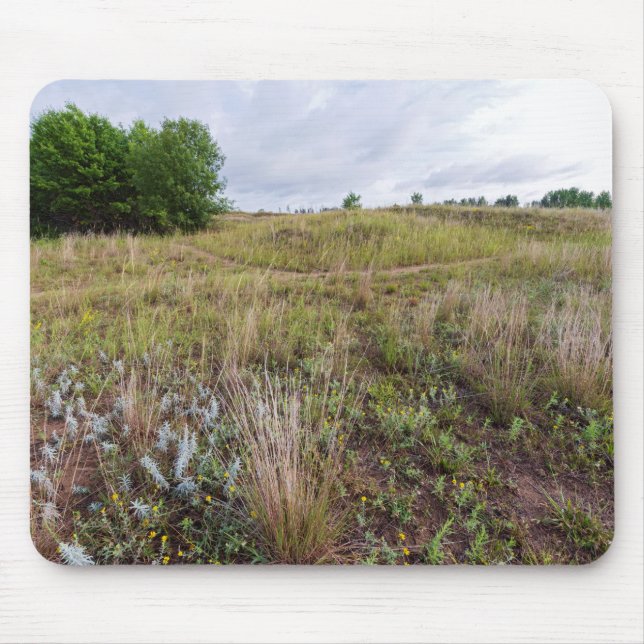 grey cloud dunes prairie landscape mouse mat (Front)