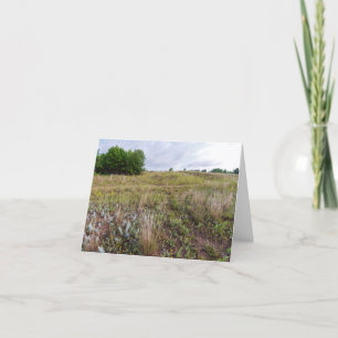 grey cloud dunes prairie landscape thank you card