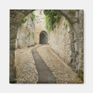 Grey Cobblestone street, France Magnet