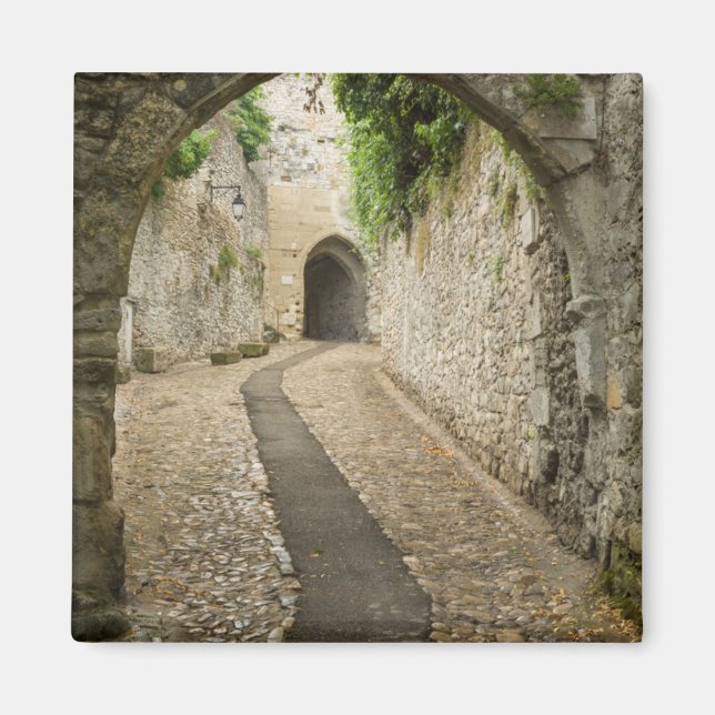 Grey Cobblestone street, France Magnet (Front)