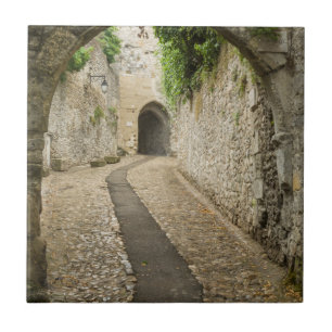 Grey Cobblestone street, France Tile