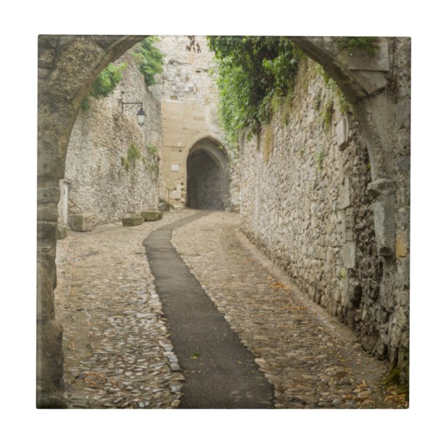 Grey Cobblestone street, France Tile (Front)