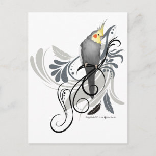 Grey Cockatiel Postcard