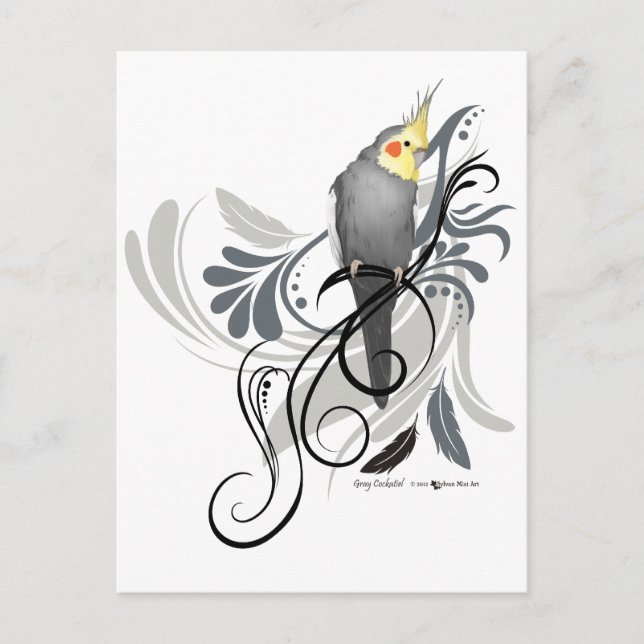 Grey Cockatiel Postcard (Front)