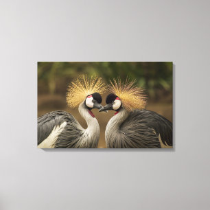 Grey Crowned Crane bird couple Canvas Print