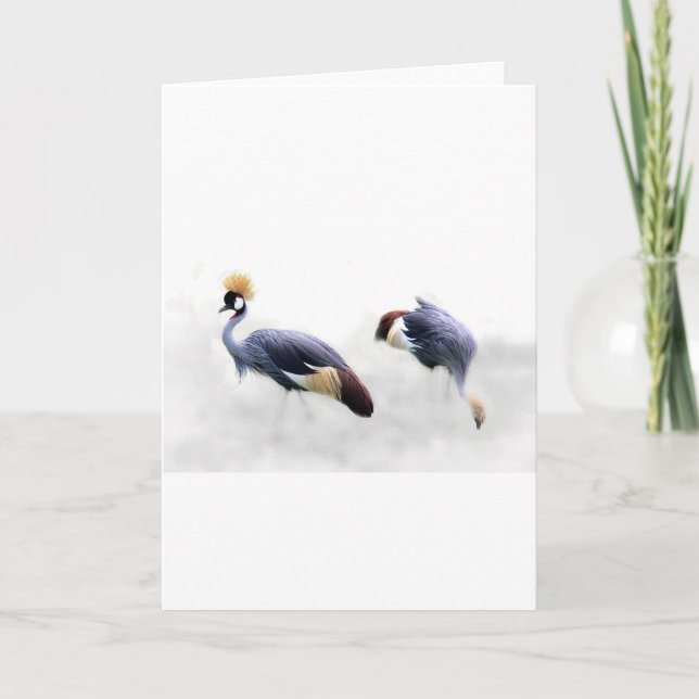 grey crowned crane bird wings feathers card (Front)