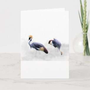 grey crowned crane bird wings feathers card