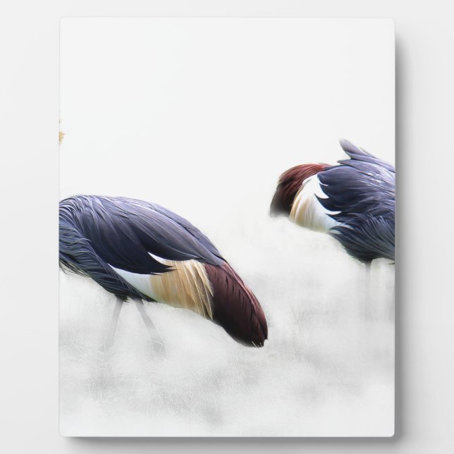 grey crowned crane bird wings feathers plaque (Front)