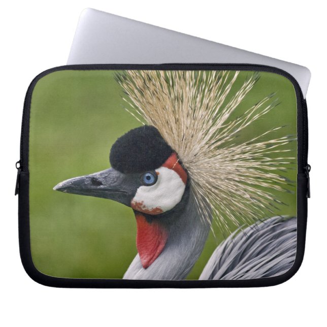 Grey Crowned Crane Laptop Sleeve (Front)