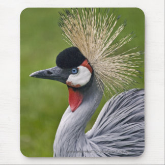 Grey Crowned Crane Mousemat