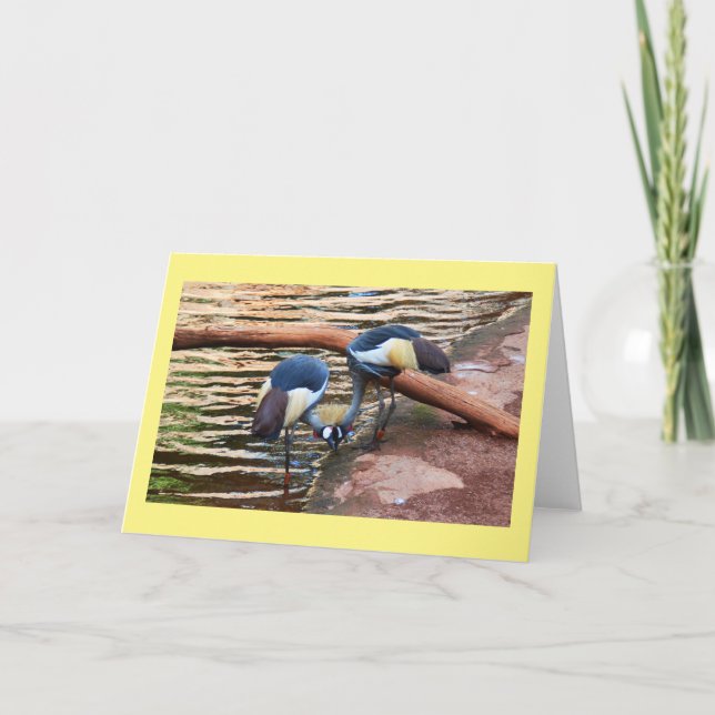 Grey crowned cranes holiday card (Front)