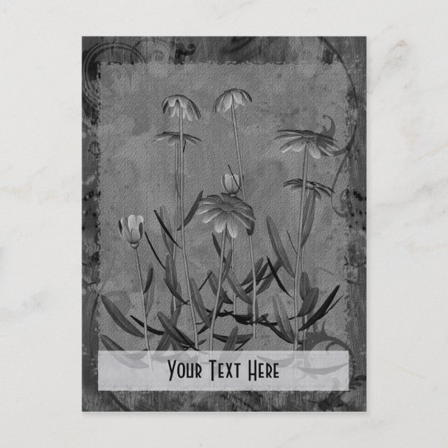 Grey Daisies Floral Customisable Postcard (Front)