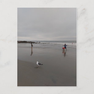 Grey day at the beach postcard