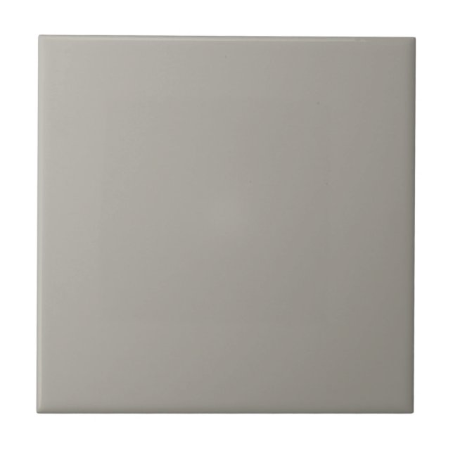 Grey Dorian Square Kitchen and Bathroom Ceramic Ti Tile (Front)